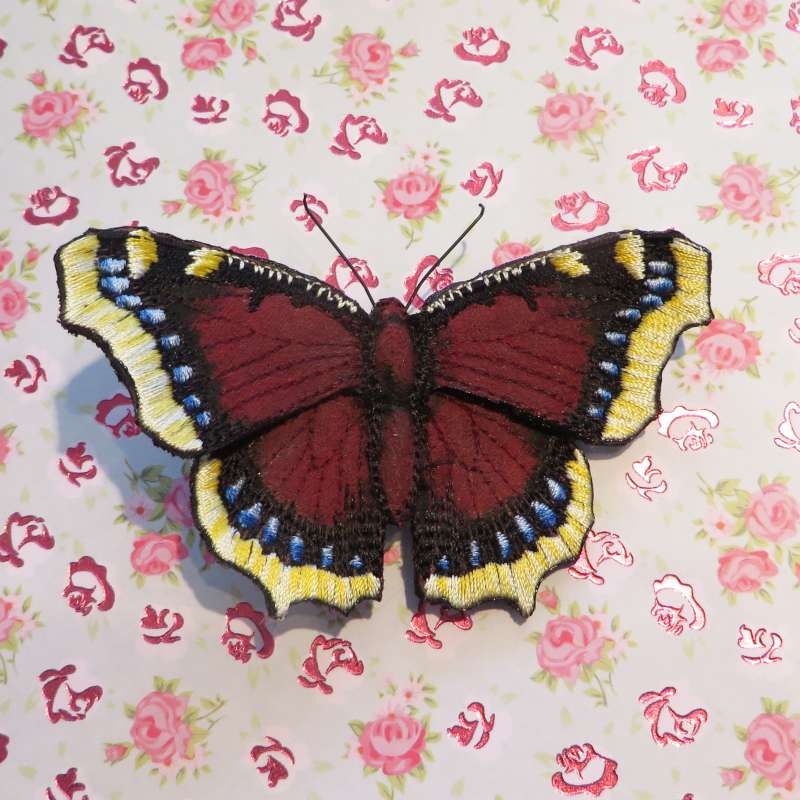 Camberwell beauty Butterfly